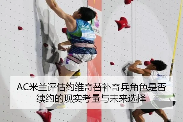 AC米兰评估约维奇替补奇兵角色是否续约的现实考量与未来选择